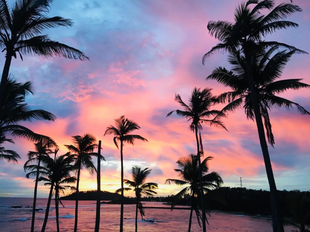 travel and tour srilanka