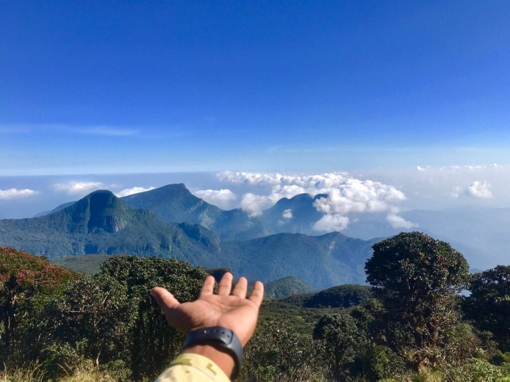 travel and tour srilanka