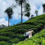 Roxaval Travels - How to Plan a Memorable Trip in Sri Lanka