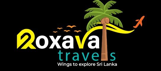 Best Travel Agency in Sri Lanka (2025 Guide) 1 best tour operator in Sri Lanka, best safari tour in Sri Lanka, best time to visit Sri Lanka