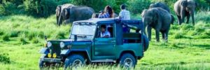 Roxaval Travels - Top 10 Adventures in Sri Lanka