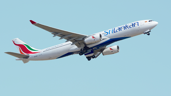 travel and tour srilanka