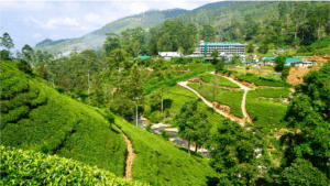 Roxaval Travels: Your Sri Lanka Tour & Adventure Experts. - Why Sri Lanka is your next gateway