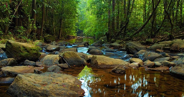 sinharaja forest reserve